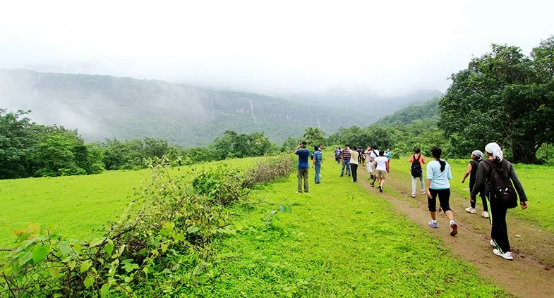 Lush Green View of Bhimashankar Trek Path