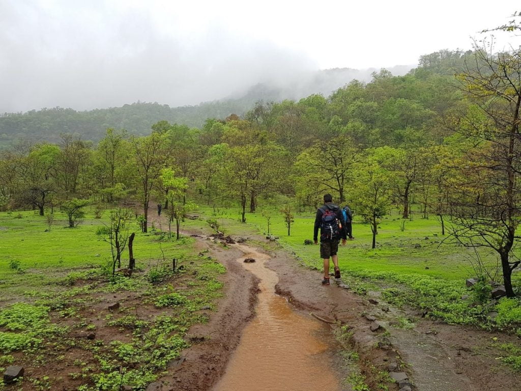 Path through Beautiful Jungle during Mahuli Fort Trek