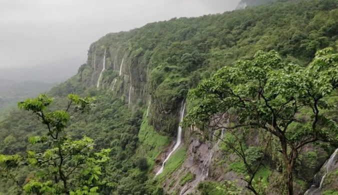 Waterfall at Bhimashankar Trek