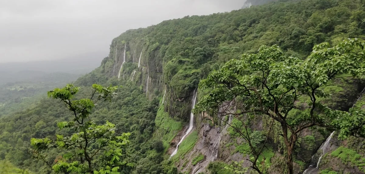 Waterfall at Bhimashankar Trek