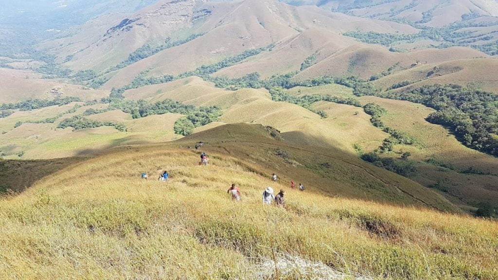 A View of trekkers climbing Kudremukh Trek