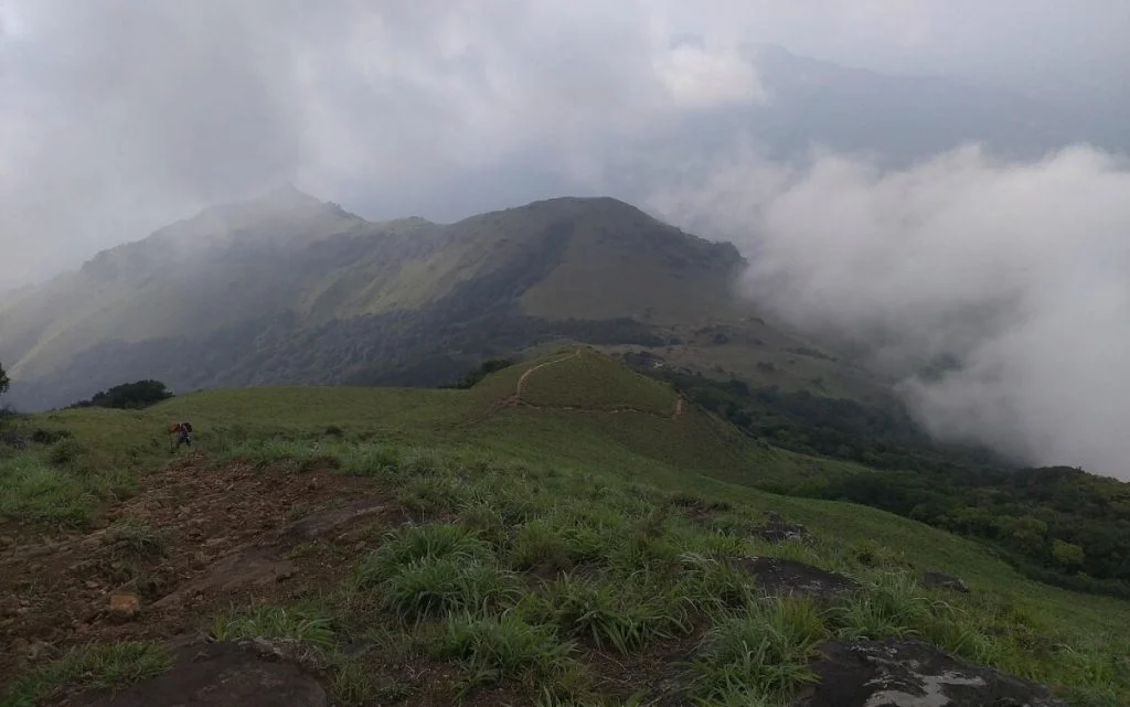 Tadiandamol Trek Covered in Clouds